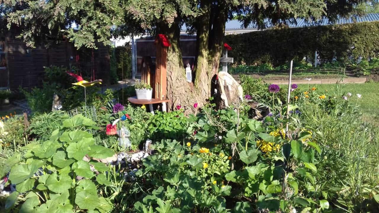 Appartamento Rosenparadies Kröpelin Esterno foto